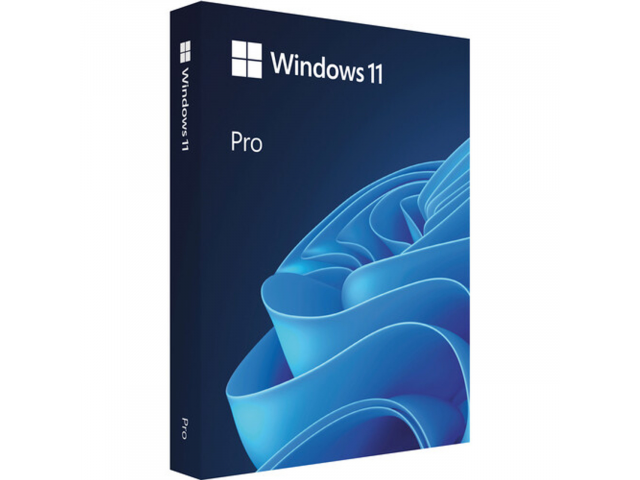 Microsoft Windows 11 Professional 64-Bit (Retail Box, USB Flash Drive) 1 license