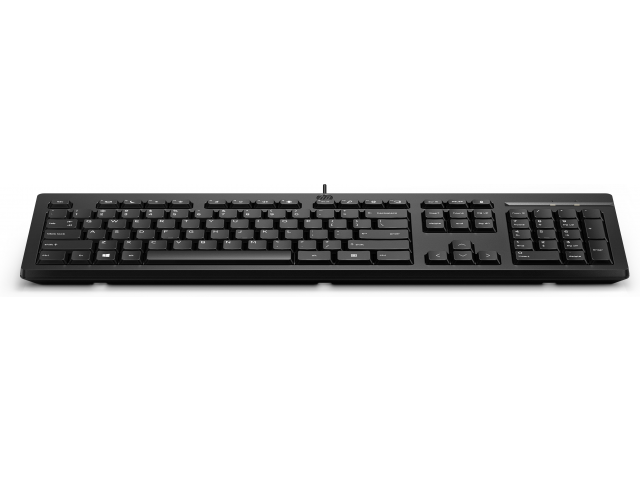 HP 125 Keyboard QWERTY INTL (USB Wired)