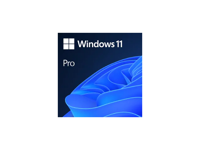 Microsoft Windows 11 Professional 64-Bit (Multilingual, ESD) 1 license