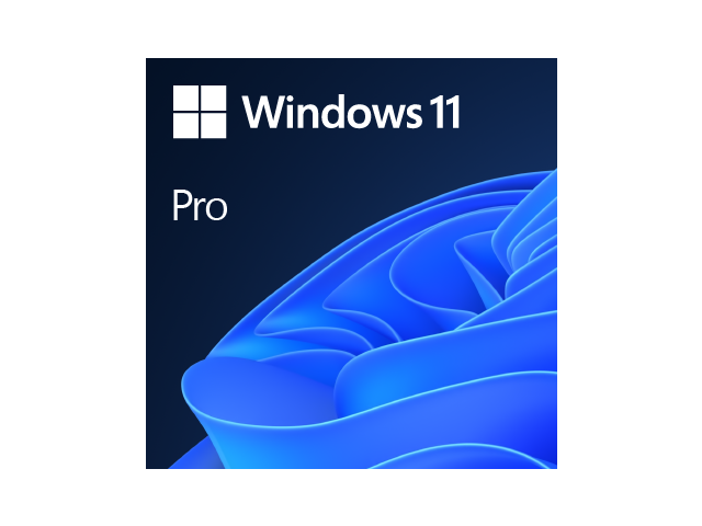 UPGRADE - Microsoft Windows 11 Professional installation - only with purchase PC/Workstation